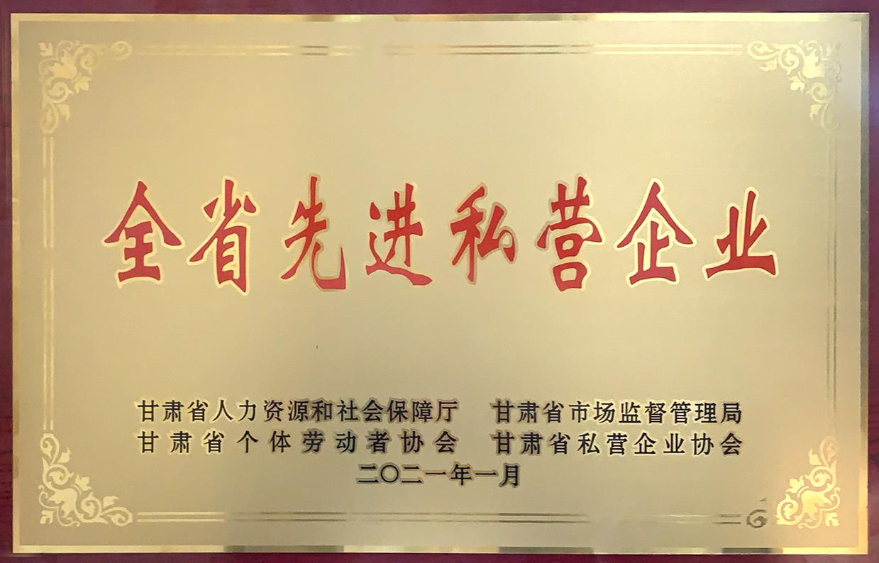 全省先进私营企业