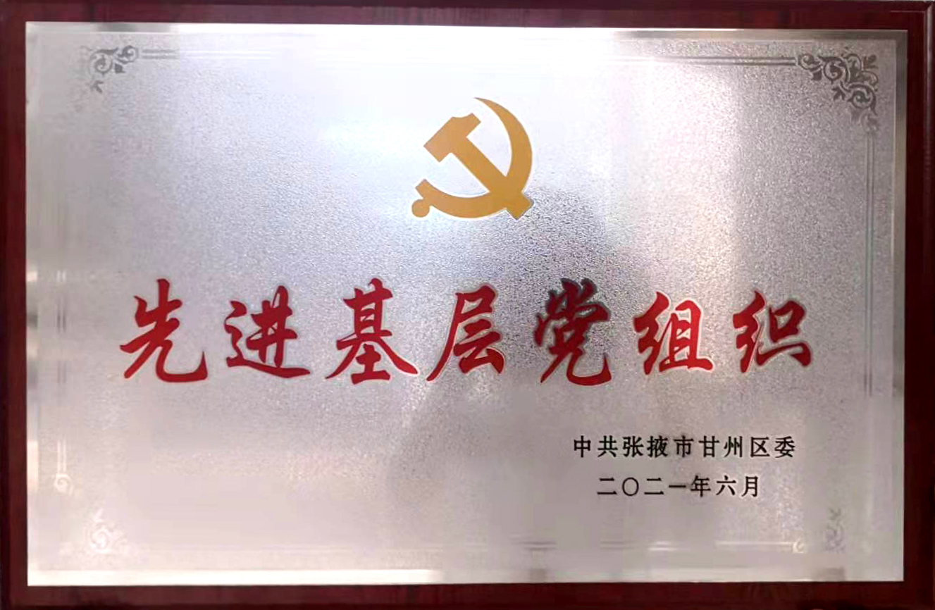 先进基层党组织